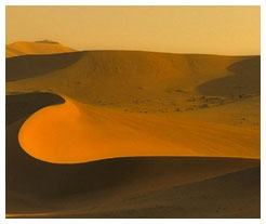 Silk Road